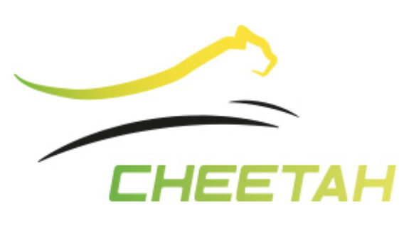 cheetah logo
